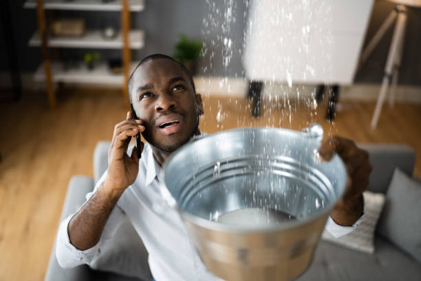 Best Professional water damage repair  in Plum, PA
