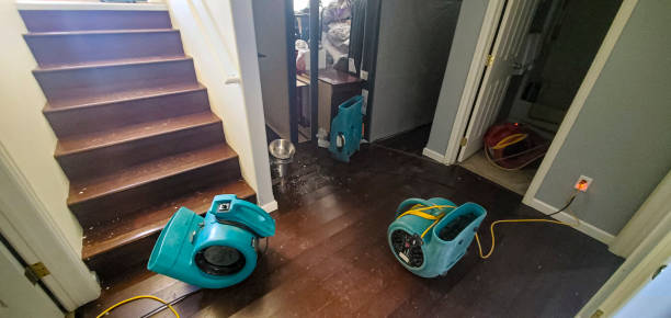 Best Sewage cleanup and water damage restoration  in Plum, PA