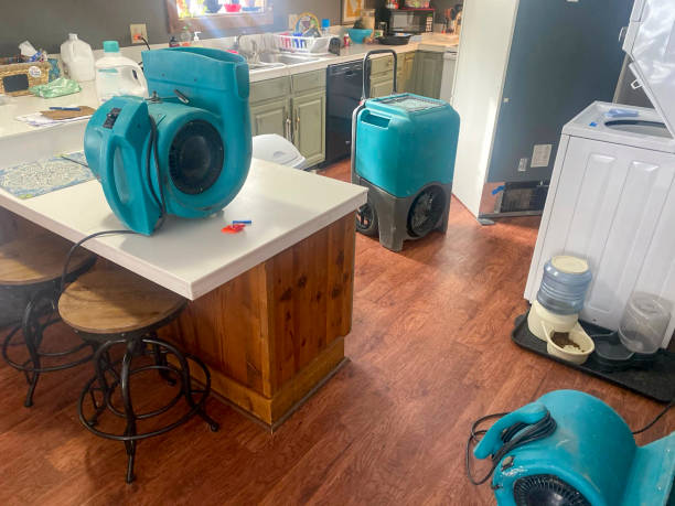 Best Water damage restoration specialists  in Plum, PA