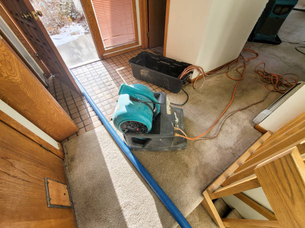 Best Professional water damage repair  in Plum, PA