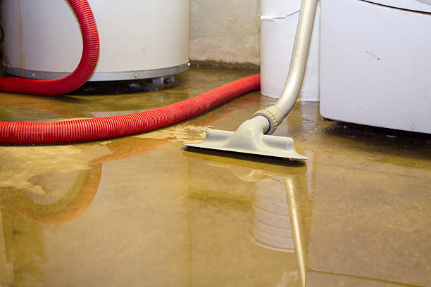 Best Sewage cleanup and water damage restoration  in Plum, PA