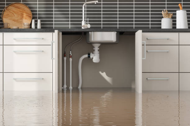 Best Water damage restoration near me  in Plum, PA
