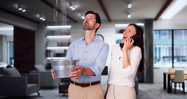 Best Commercial water damage restoration  in Plum, PA