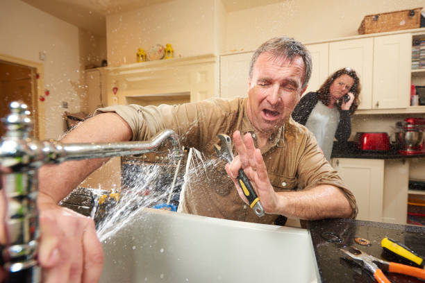 Best Basement water damage restoration  in Plum, PA